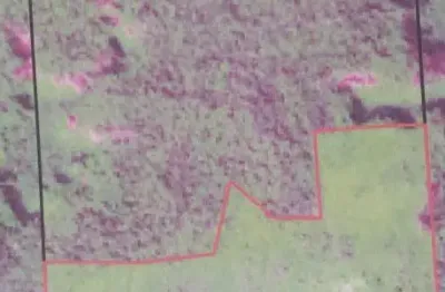 Fazenda 1.210 Hectares - Juara MT - pastagens prontas para produção ou conversão agrícola