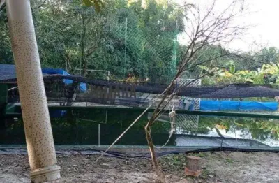 Chácara / sítio com 2 quartos à venda na casa verde, monte mor  por r$ 550.000