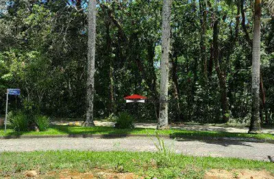Terreno à venda, 403 m² por r$ 547.000,00 - park imperial - caraguatatuba/sp
