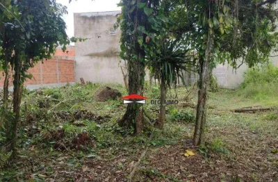 Terreno à venda, 490 m² por r$ 340.000 - jardim das gaivotas - caraguatatuba/sp