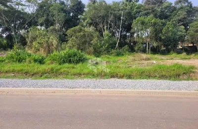 São francisco do sul - bairro reta, rua asfaltada, terreno 630m2.