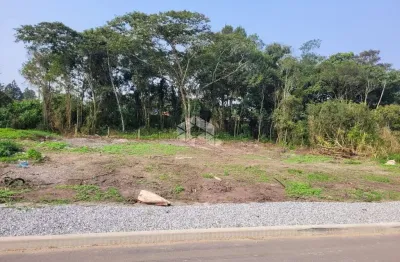 Terreno bairro reta - são francisco do sul, sc com 617,30 m².