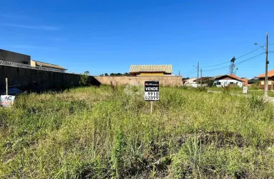 Terreno,  sandra regina- são francisco do sul, sc-450m2