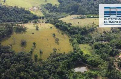 Terreno à venda, 89000 m² por r$ 1.000.000,00 - boa vista dos silva - bragança paulista/sp