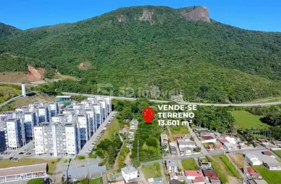 Terreno comercial para alugar na Rua João Bernadino da Rosa, Pedra Branca, Palhoça
