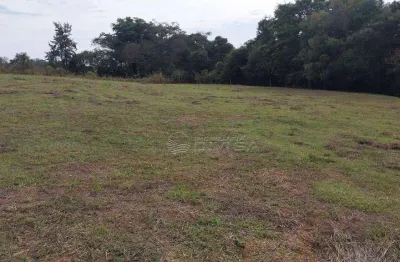 Sítio com 2 dormitórios à venda, 36300 m² por R$ 3.000.000,00 - Cardeal - Elias Fausto/SP