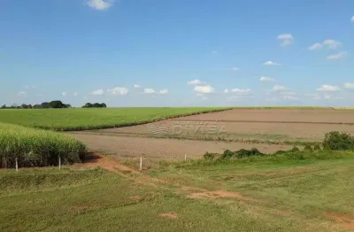 Área à venda, 338800 m² por R$ 50.820.000,00 - Benfica - Elias Fausto/SP