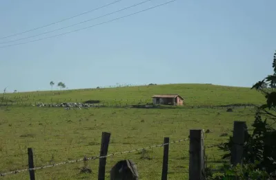 Sítio à venda, 871200 m² por r$ 18.000.000,00 - conceição - elias fausto/sp