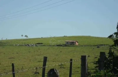 Sítio à venda, 871200 m² por R$ 18.000.000,00 - Conceição - Elias Fausto/SP