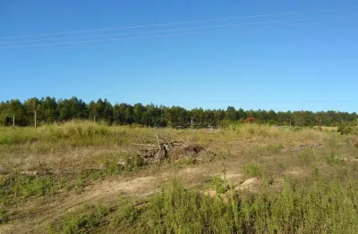 Sítio com 1 dormitório à venda, 26500 m² por R$ 1.100.000,00 - Casa Branca - Monte Mor/SP