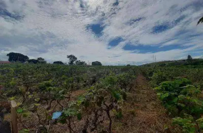 Área à venda, 34885 m² por R$ 8.749.000,00 - Bom Jardim - Jundiaí/SP