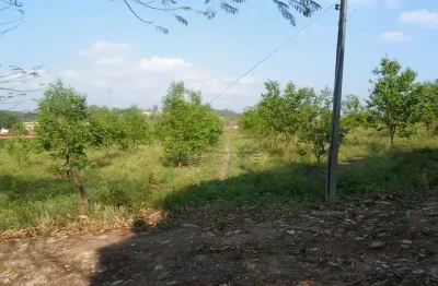 Sítio com 2 dormitórios à venda, 48000 m² por R$ 10.000.000,00 - Mato Dentro - Indaiatuba/SP