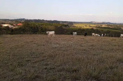 Chácara à venda, 20000 m² por R$ 1.200.000,00 - Benfica - Elias Fausto/SP