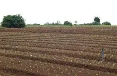 Área à venda, 60000 m² por r$ 13.800.000,00 - helvétia country - indaiatuba/sp
