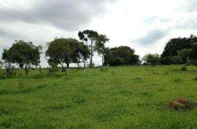 Área à venda, 15200 m² por R$ 3.040.000,00 - Helvétia Country - Indaiatuba/SP