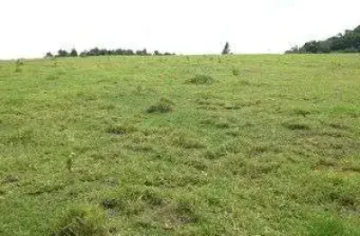 Área à venda, 60000 m² por r$ 9.000.000,00 - helvétia country - indaiatuba/sp