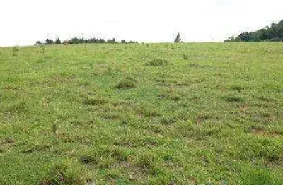 Área à venda, 60000 m² por R$ 9.000.000,00 - Helvétia Country - Indaiatuba/SP