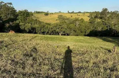 Chácara à venda, 2019 m² por R$ 600.000,00 - Cardeal - Elias Fausto/SP