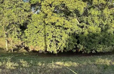 Chácara à venda, 2098 m² por R$ 600.000,00 - Cardeal - Elias Fausto/SP