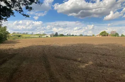 Sítio com 2 dormitórios à venda, 40000 m² por R$ 1.700.000,00 - Saltinho - Elias Fausto/SP