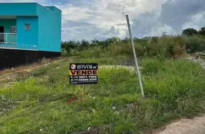 Terreno à venda, 202 m² por R$ 164.300,00 - Jardim Dos Lagos - Elias Fausto/SP