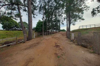 Terreno à venda, 16981 m² por R$ 1.290.000,00 - Santa Eliza - Itupeva/SP