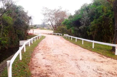 Área à venda, 2315020 m² por r$ 1.157.000,00 - benfica - elias fausto/sp