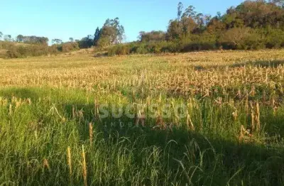 Chácara / sítio à venda em Zona Rural, Cascavel 
