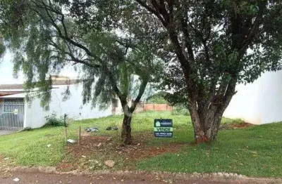 Terreno no canadá com 609m para construção de prédio ou residência