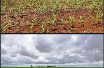 Fazenda à venda no Centro, Carolina 