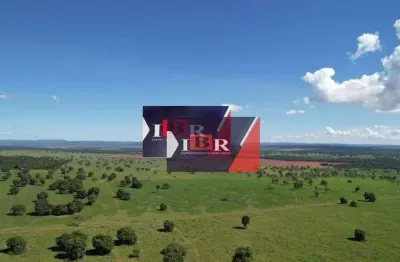 Fazenda à venda na Zona Rural, Terenos 