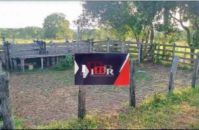 Fazenda à venda na Zona Rural, Camapuã 