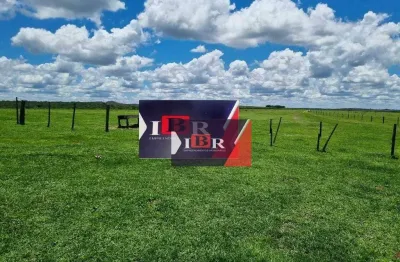 Fazenda à venda na Zona Rural, Alto Garças 