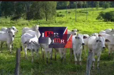 Fazenda à venda na Zona Rural, Sidrolândia 