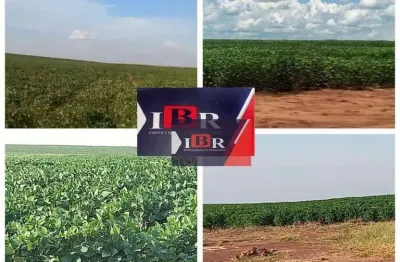 Fazenda à venda na Travessa Cristo Rei, Zona Rural, Campo Grande
