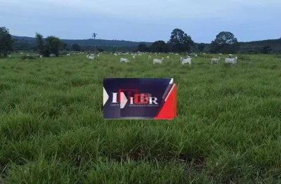Fazenda à venda na Zona Rural, Terenos 