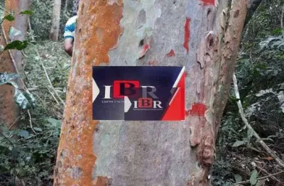 Fazenda à venda na Avenida Rui Barbosa, Vale Verde, Juiz de Fora