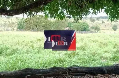 Fazenda à venda na Zona Rural, Cassilândia 