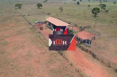 Fazenda à venda, 10648000 m² por r$ 37.268.000,00 - jardim eldorado - nova alvorada do sul/ms