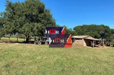 Fazenda à venda na Zona Rural, Ribas do Rio Pardo 