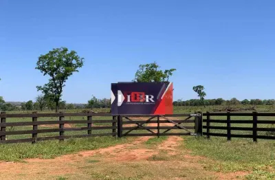 Fazenda à venda na Zona Rural, Ribas do Rio Pardo 