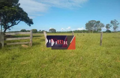 Fazenda à venda na Três Fronteiras, Nova Alvorada do Sul 
