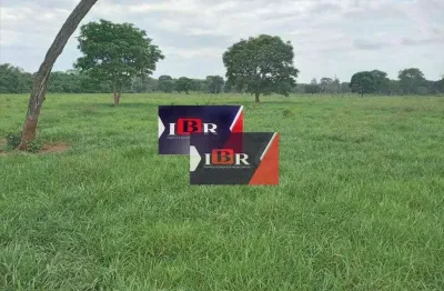 Fazenda à venda na Zona Rural, Terenos 