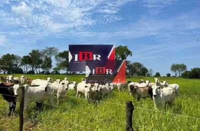 Fazenda à venda na Zona Rural, Rochedo 