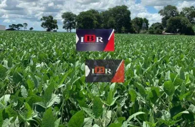 Fazenda à venda no Centro, Guia Lopes da Laguna 