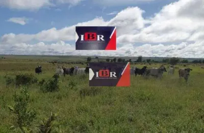 Fazenda à venda na Rua Carurú, Zona Rural, Campo Grande