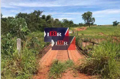 Fazenda à venda na Zona Rural, Ribas do Rio Pardo 