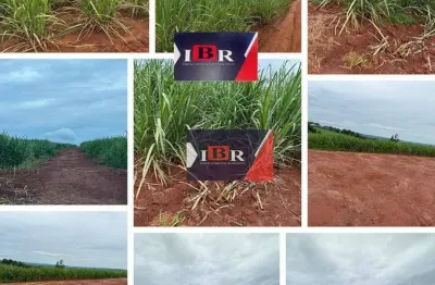 Fazenda à venda no Centro, Luís Antônio 