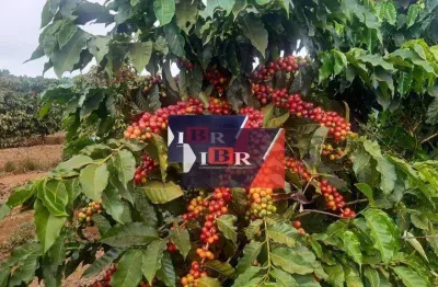 Fazenda à venda na Zona Rural, Luminárias 