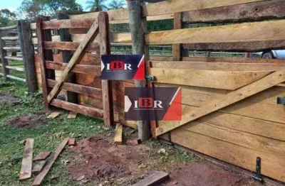 Fazenda à venda na Zona Rural, Figueirão 